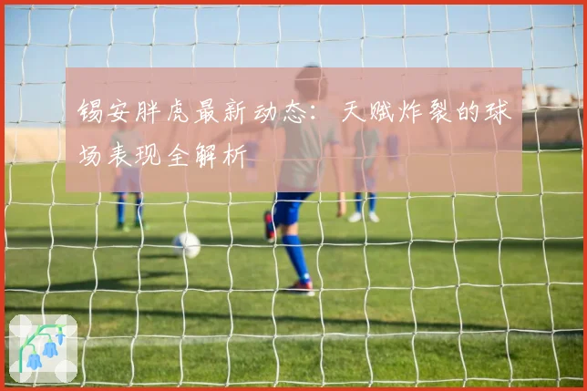 锡安胖虎最新动态：天赋炸裂的球场表现全解析